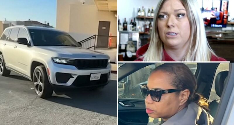 Bay Area police chiefâs bizarre excuse for leaving hit-and-run scene